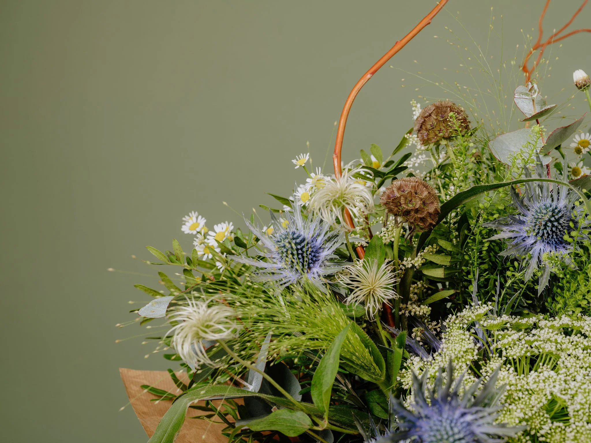The Rivelin Valley — Plantology — Floral Creations